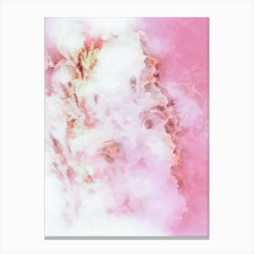 Dreaming Of Roses Canvas Print