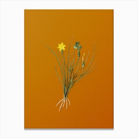 Vintage Golden Blue-eyed Grass Botanical on Sunset Orange n.0482 Canvas Print