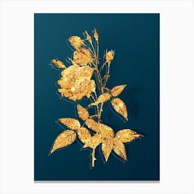 Vintage Common Rose of India Botanical in Gold on Teal Blue n.0226 Canvas Print