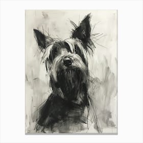 Skye Terrier Dog Charcoal Line 1 Canvas Print