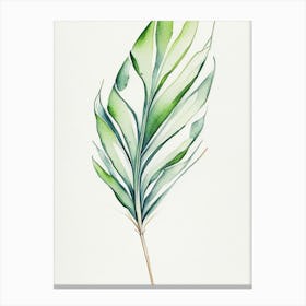 Yucca Leaf Minimalist Watercolour 3 Canvas Print