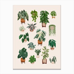 Plants Collection 1 Canvas Print