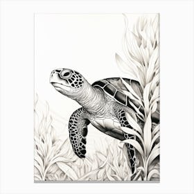 Curious Sea Turtle Swimming Behind Seaweed Canvas Print