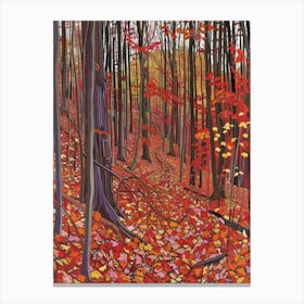 Autumn Forest 9 Canvas Print