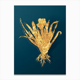 Vintage Crimean Iris Botanical in Gold on Teal Blue n.0117 Canvas Print