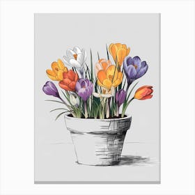 Crocuses In A Pot Canvas Print