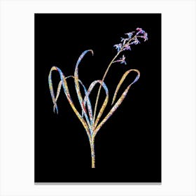 Stained Glass Dutch Hyacinth Mosaic Botanical Illustration on Black n.0333 Canvas Print