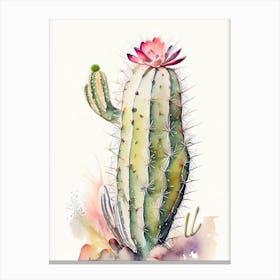 Rat Tail Cactus Storybook Watercolours 1 Canvas Print