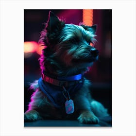 Dog At Night 1 Canvas Print