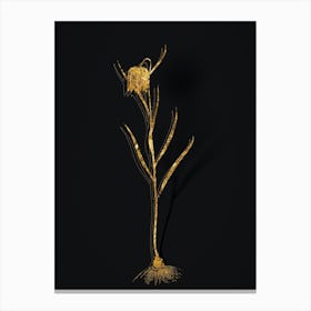 Vintage Chess Flower Botanical in Gold on Black Canvas Print