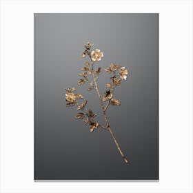 Gold Botanical Cape African Queen on Soft Gray n.3413 Canvas Print