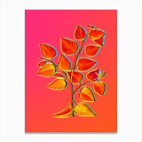 Neon Paper Birch Botanical in Hot Pink and Electric Blue n.0136 Canvas Print