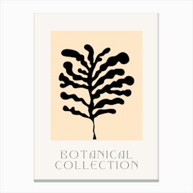 Botanical Collection Canvas Print