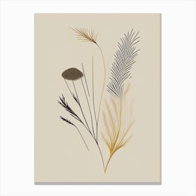 Fennel Seed Spices And Herbs Retro Minimal 4 Canvas Print