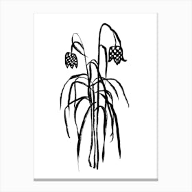 Lily Of The Valley Art Print 1 Canvas Print