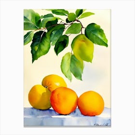 Ugli Fruit Italian Watercolour fruit Canvas Print
