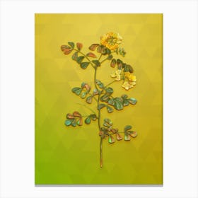 Vintage Scorpion Vetch Plant Botanical Art on Empire Yellow n.1119 Canvas Print