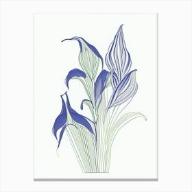 Hosta Floral Minimal Line Drawing 1 Flower Canvas Print
