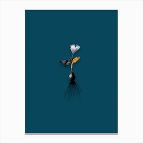 Vintage Cape Tulip Black and White Gold Leaf Floral Art on Teal Blue n.0393 Canvas Print