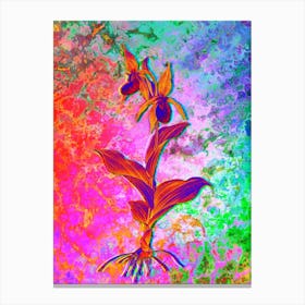Lady's Slipper Orchid Botanical in Acid Neon Pink Green and Blue n.0140 Canvas Print