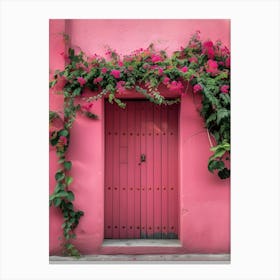 Pink Door Canvas Print