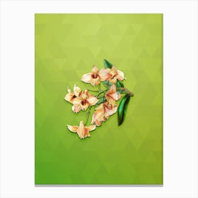 Vintage Copper Dendrobium Botanical Art on Love Bird Green Canvas Print
