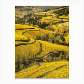 Yellow Rice Fields In China Canvas Print
