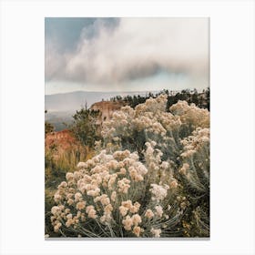 Utah Sagebrush Scenery Canvas Print