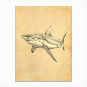 Blue Shark Vintage Illustration 4 Canvas Print