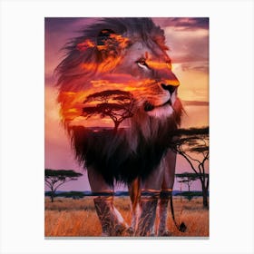 Sunset Lion 1 Canvas Print