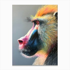 Baboon Pastel Watercolour 4 Stampe su tela