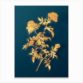 Vintage Rose of the Hedges Botanical in Gold on Teal Blue Canvas Print