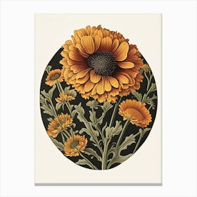 Calendula Herb Vintage Botanical Canvas Print