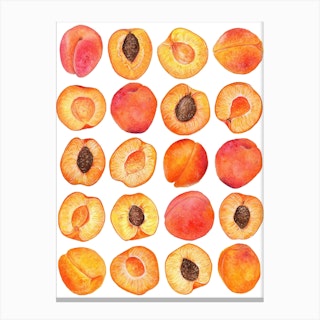 Repeat Pattern Apricot Canvas Print