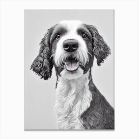 Spanish Water Dog B&W Pencil dog Canvas Print