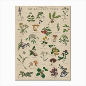 Forager's Table Artwork - Foraging Wild Food Art Print Canvas Print