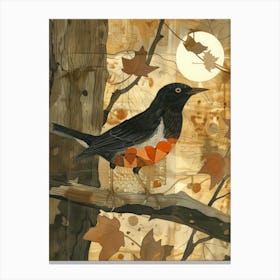 Robin 14 Canvas Print