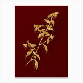 Vintage Birdbill Dayflower Botanical in Gold on Red n.0562 Canvas Print