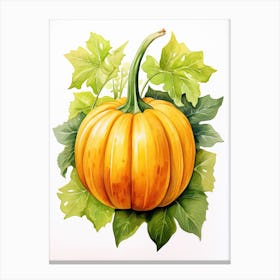 Long Island Cheese Pumpkin Watercolour Illustration 1 Canvas Print