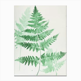 Green Ink Painting Of A Silver Lace Fern 1 Canvas Print