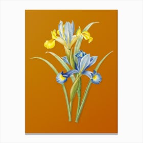 Vintage Spanish Iris Botanical on Sunset Orange n.0041 Canvas Print