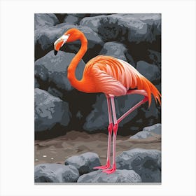 Greater Flamingo Galapagos Islands Ecuador Tropical Illustration 2 Canvas Print