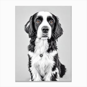 Boykin Spaniel B&W Pencil dog Canvas Print
