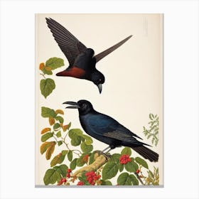 Raven James Audubon Vintage Style Bird Canvas Print