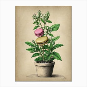 Macarons In A Pot Canvas Print