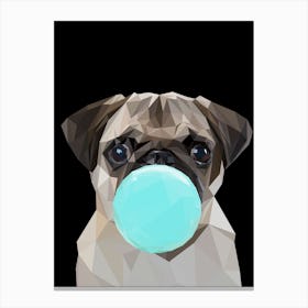 Pug Dog Chewing Bubble Gum Canvas Print