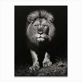 Barbary Lion Charcoal Drawing Night Hunt 3 Canvas Print