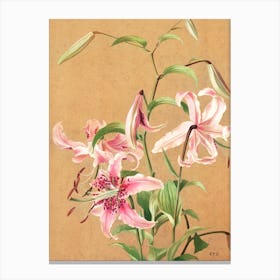 Lilies No 5 Prang & Co Canvas Print