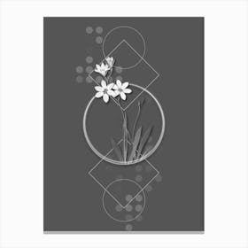 Vintage Ixia Grandiflora Botanical with Line Motif and Dot Pattern in Ghost Gray n.0366 Canvas Print