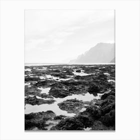 View of the beach in Tenerife, Canary Islands Canvas Print